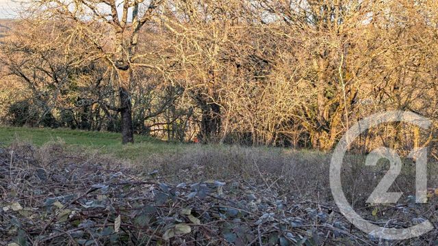 terrain à vendre - 1603.0 m2 - BEAUVILLE - 47 - AQUITAINE - Century 21 Joffre Immobilier