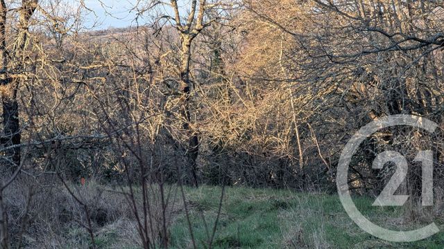 terrain à vendre - 1603.0 m2 - BEAUVILLE - 47 - AQUITAINE - Century 21 Joffre Immobilier