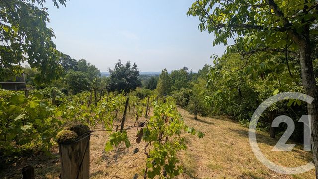 maison à vendre - 6 pièces - 124.89 m2 - COLAYRAC ST CIRQ - 47 - AQUITAINE - Century 21 Joffre Immobilier