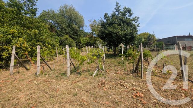 maison à vendre - 6 pièces - 124.89 m2 - COLAYRAC ST CIRQ - 47 - AQUITAINE - Century 21 Joffre Immobilier