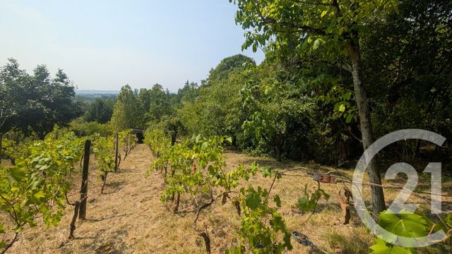 maison à vendre - 6 pièces - 124.89 m2 - COLAYRAC ST CIRQ - 47 - AQUITAINE - Century 21 Joffre Immobilier